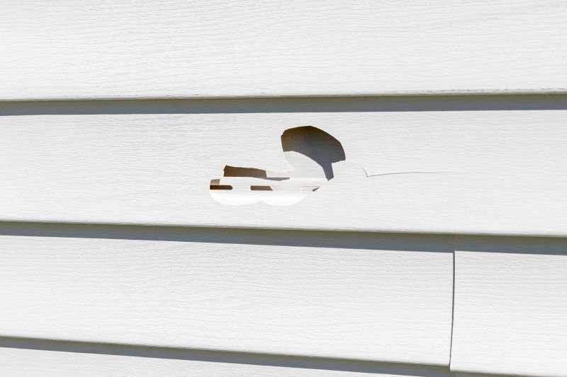 Damaged Vinyl Siding Patch